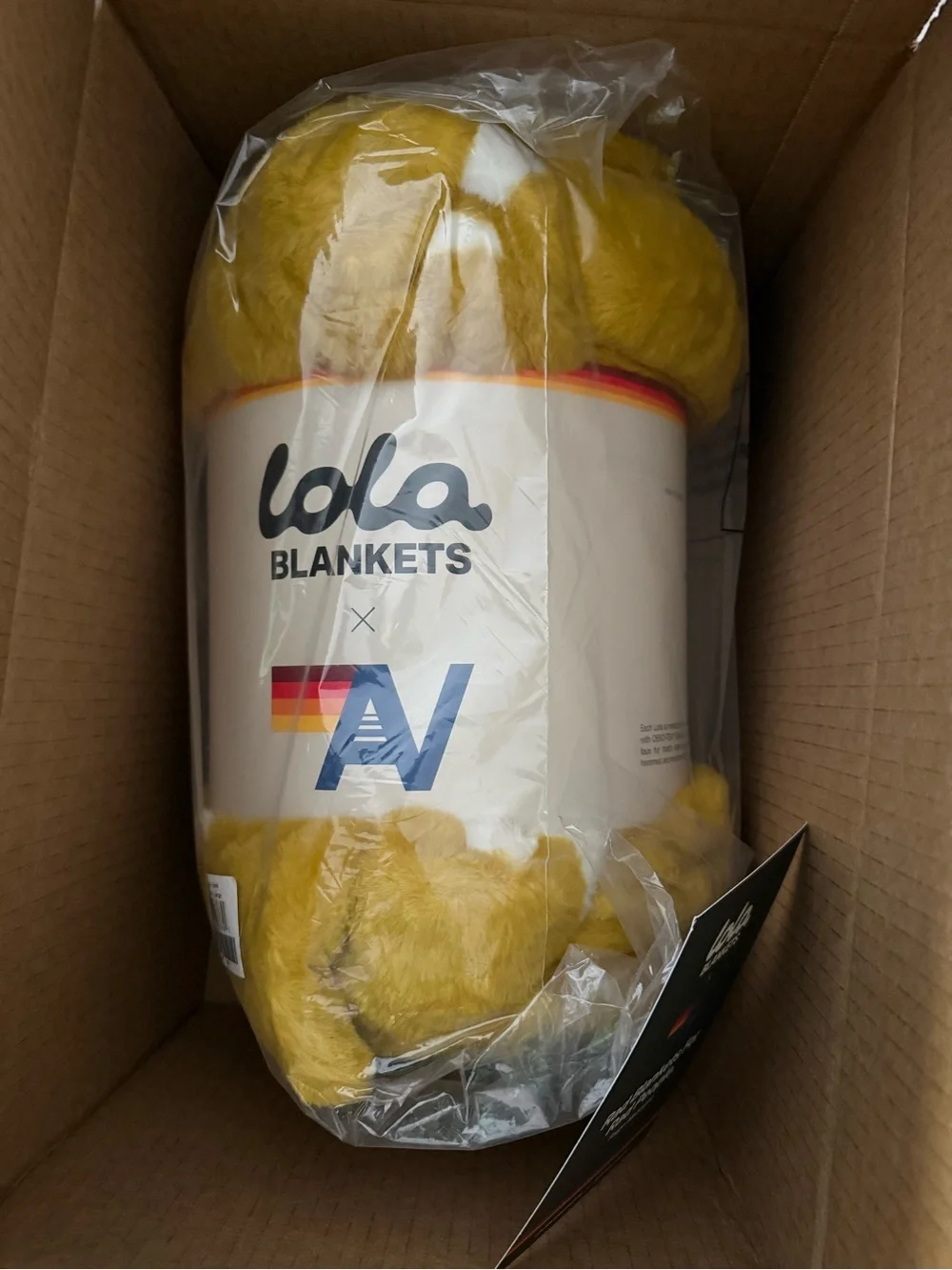 NWT Aviator Nation x Lola Blanket Size Large